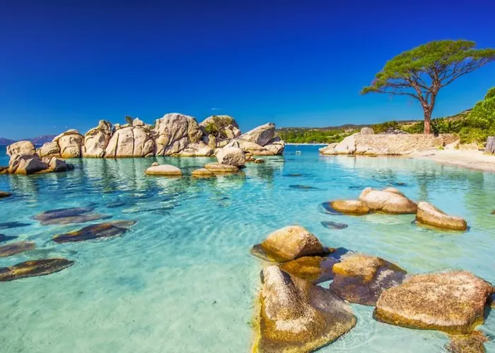 T2 A Porto-vecchio * Porto-Vecchio (Corsica)